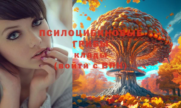 наркотики Богданович