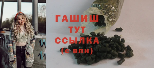 шишки Богородицк