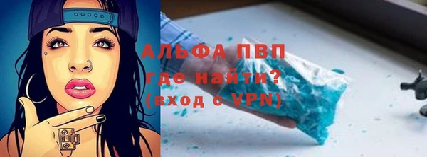 шишки Богородицк