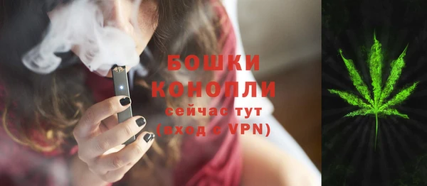 шишки Богородицк