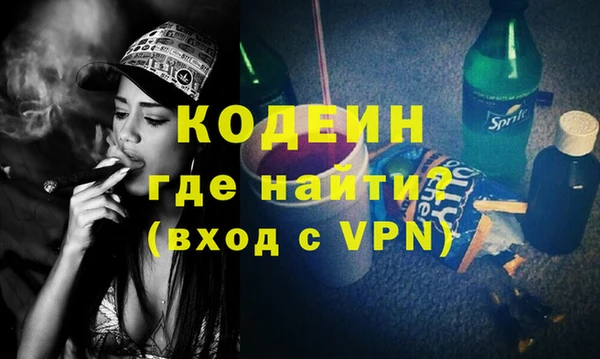 шишки Богородицк