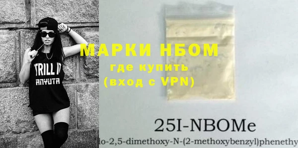 шишки Богородицк