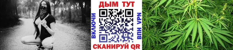 Канабис планчик  Дальнегорск 